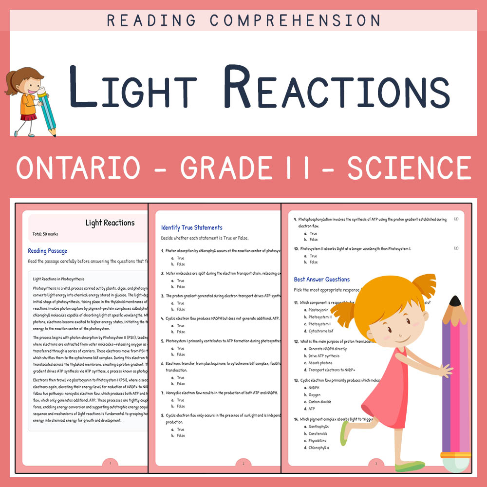 Grade 11 Science worksheet elena worksheet — Grade 11 Science  Assessment | Light Reactions Worksheet Elena | Ontario — pa…