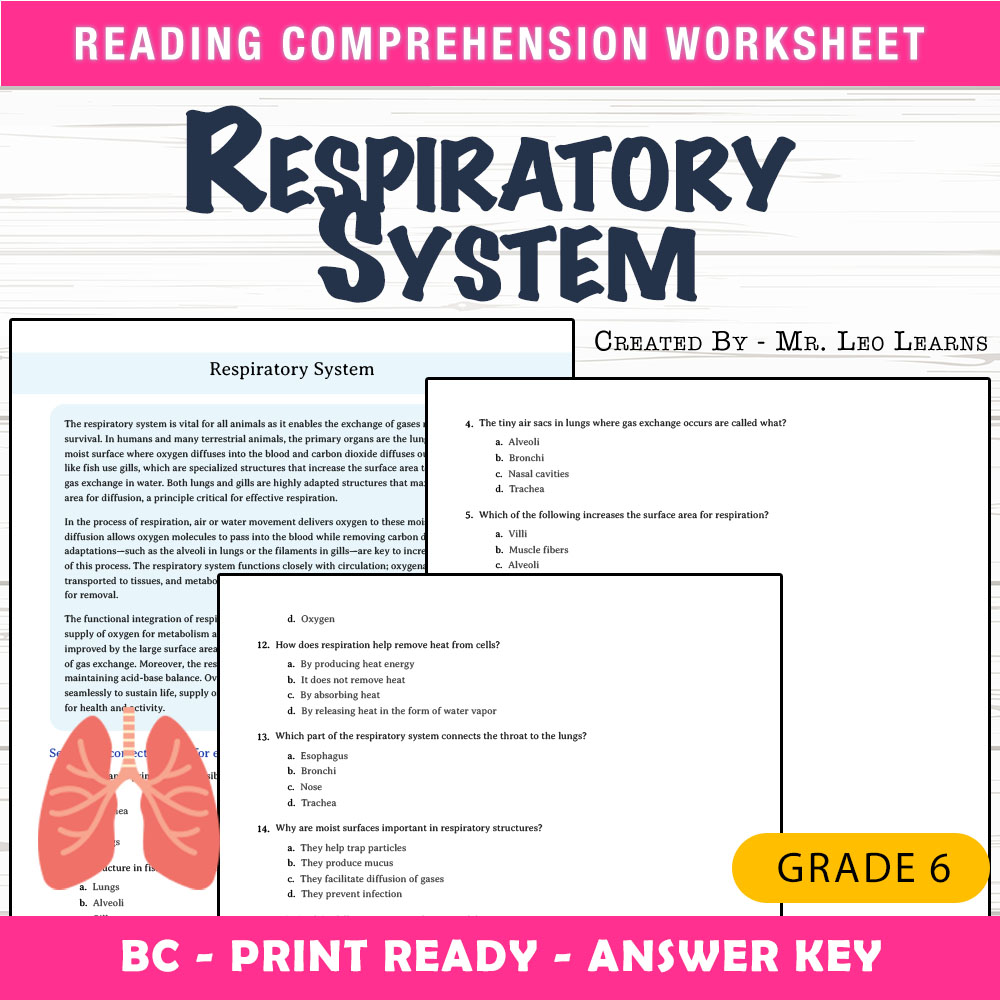 Grade 6 Science worksheet mcq paper worksheet — Grade 6 Science – Respiratory System Worksheet MCQ Paper for Mastery — page 1