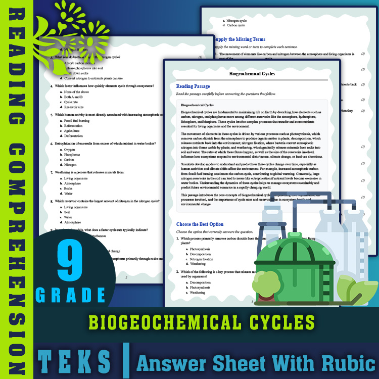 Grade 9 Science reading worksheets worksheet — Grade 9 Science | Biogeochemical Cycles Reading Worksheets (PDF + Answer Ke…