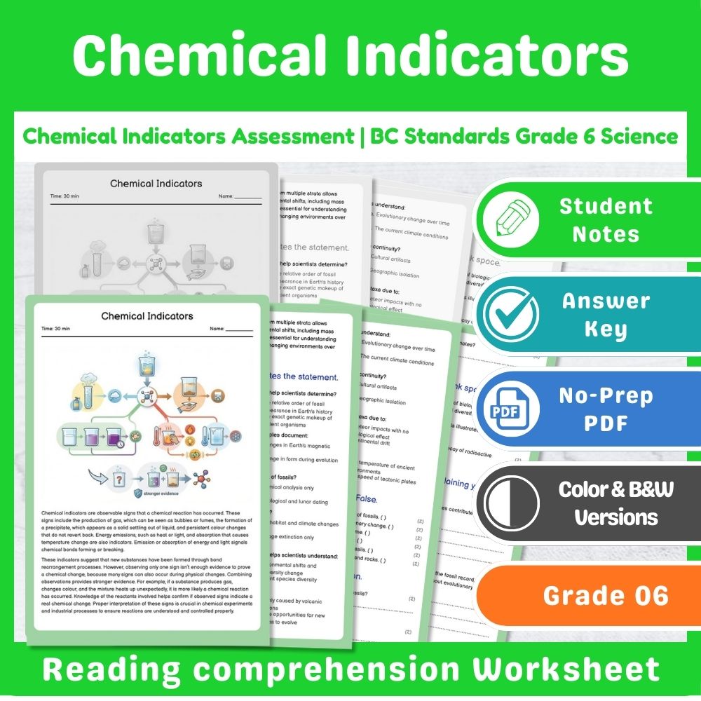 Grade 6 Science – Chemistry Assessment Mini Bundle | BC Standards-Aligned — included worksheet 6