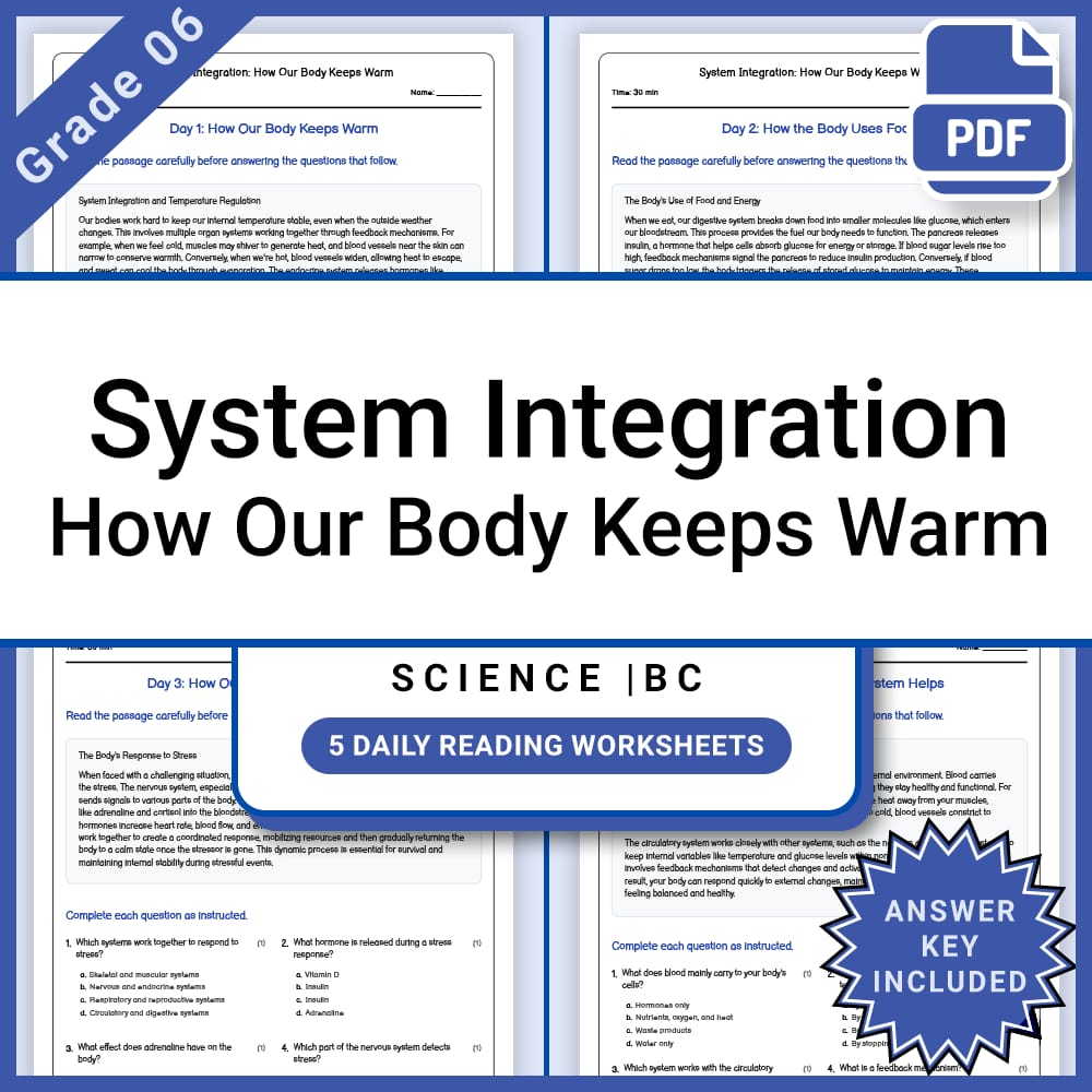 Grade 6 Science Full Year Bundle | Body Systems, Waves, Ecology & More — included worksheet 21