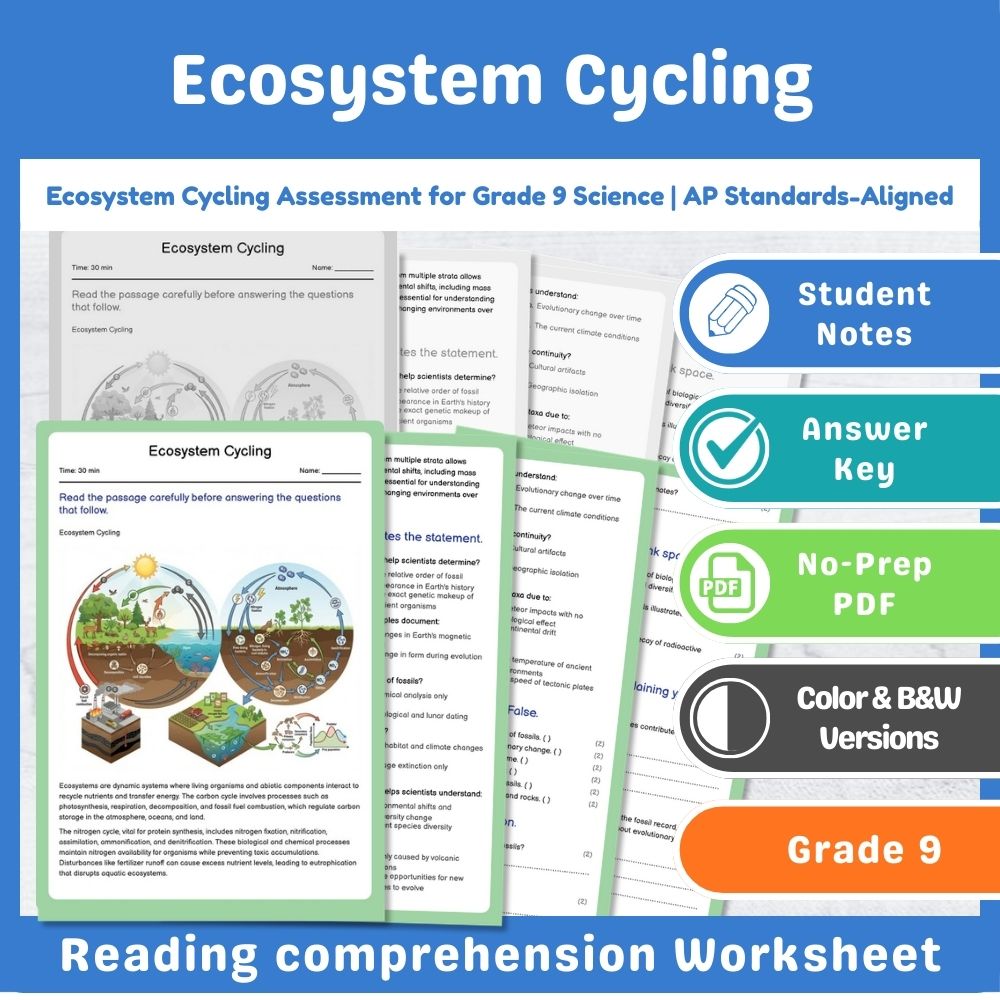 Grade 9 Science assessment worksheet — Ecosystem Cycling Assessment for Grade 9 Science | AP Standards-Aligned — page 1