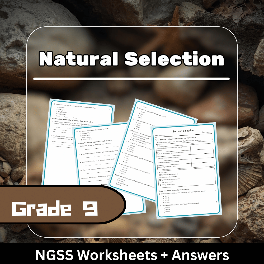 Grade 9 Science | Natural Selection Worksheet (Answer Key) - NGSS Aligned