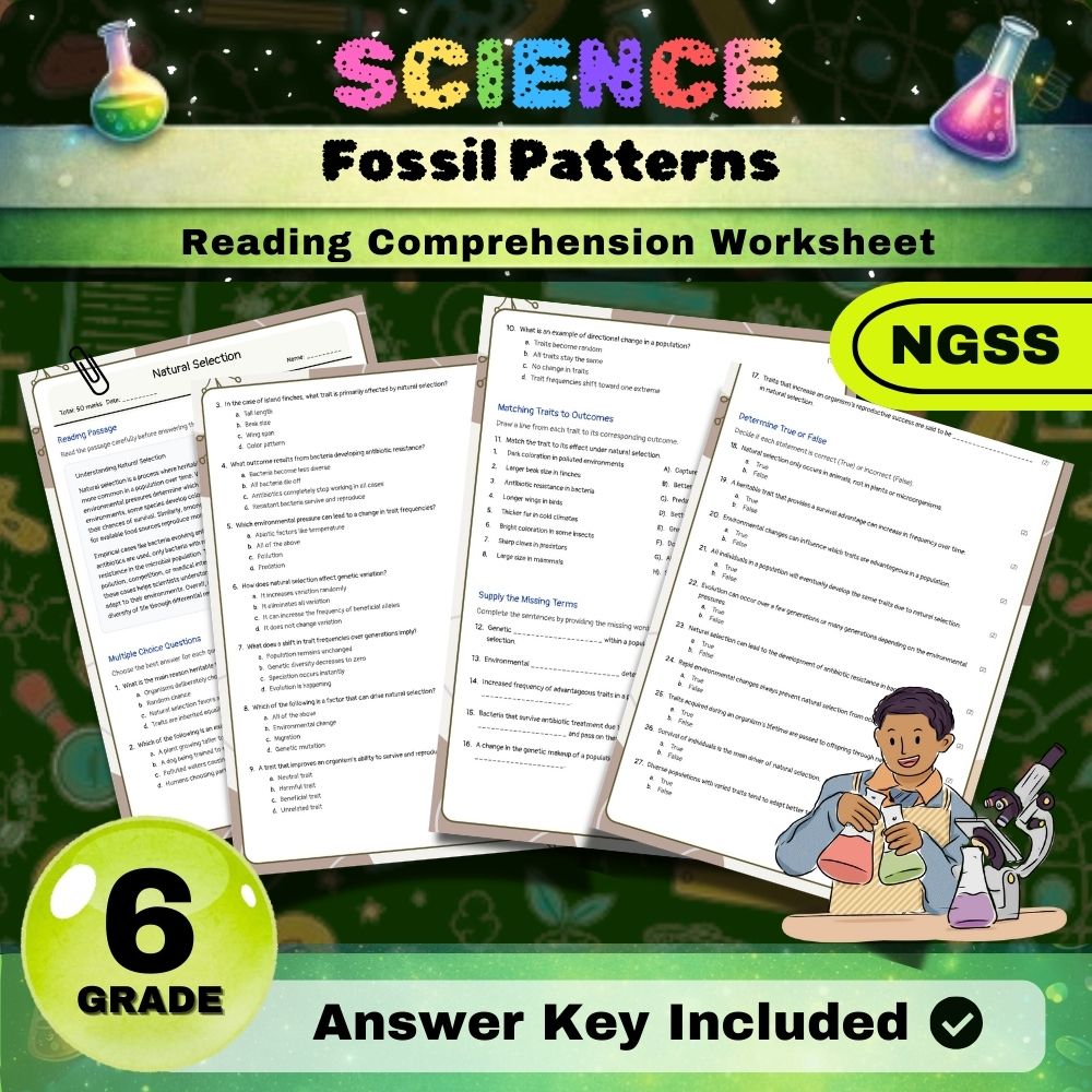 Grade 6 Science Worksheets Bundle | NGSS-Aligned — included worksheet 25