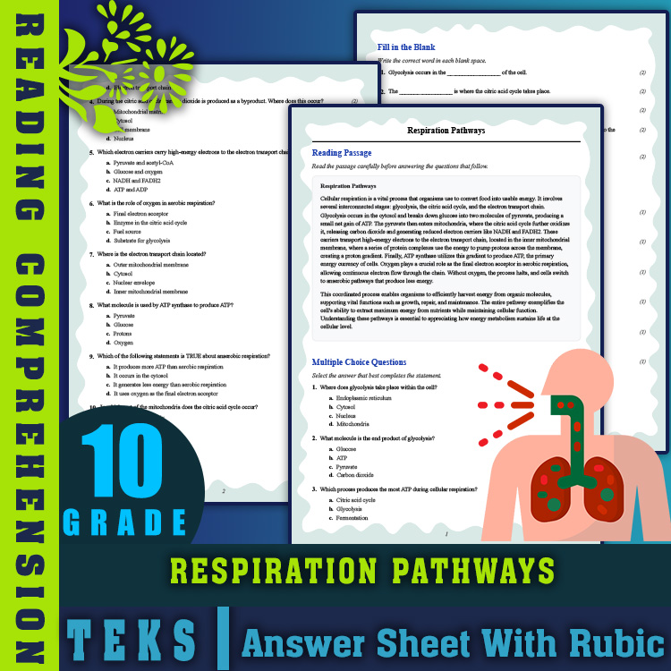 Grade 10 Science reading worksheets worksheet — 10th Grade Science | Respiration Pathways Reading Worksheet & Answer Key (…