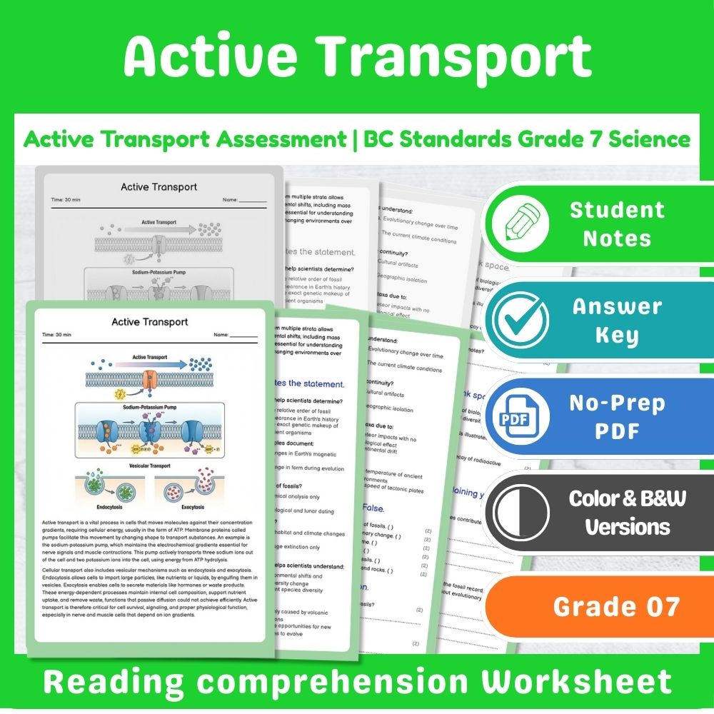 Grade 7 Science | Cell Functions & Organization Assessment – Standards-Aligned — included worksheet 9