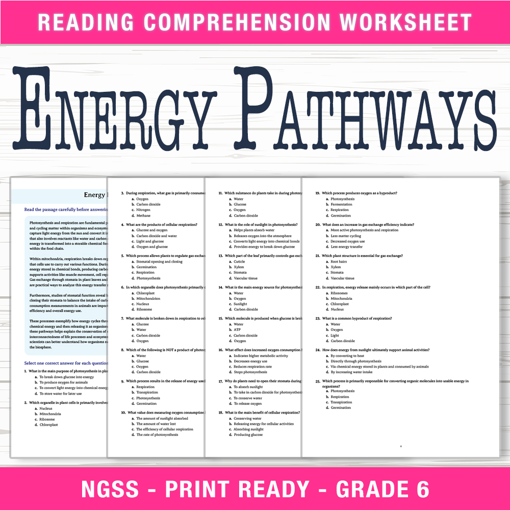 Grade 6 Science worksheet worksheet — 6th Grade Science | Energy Pathways Worksheet (PDF + Answer Key) — page 1
