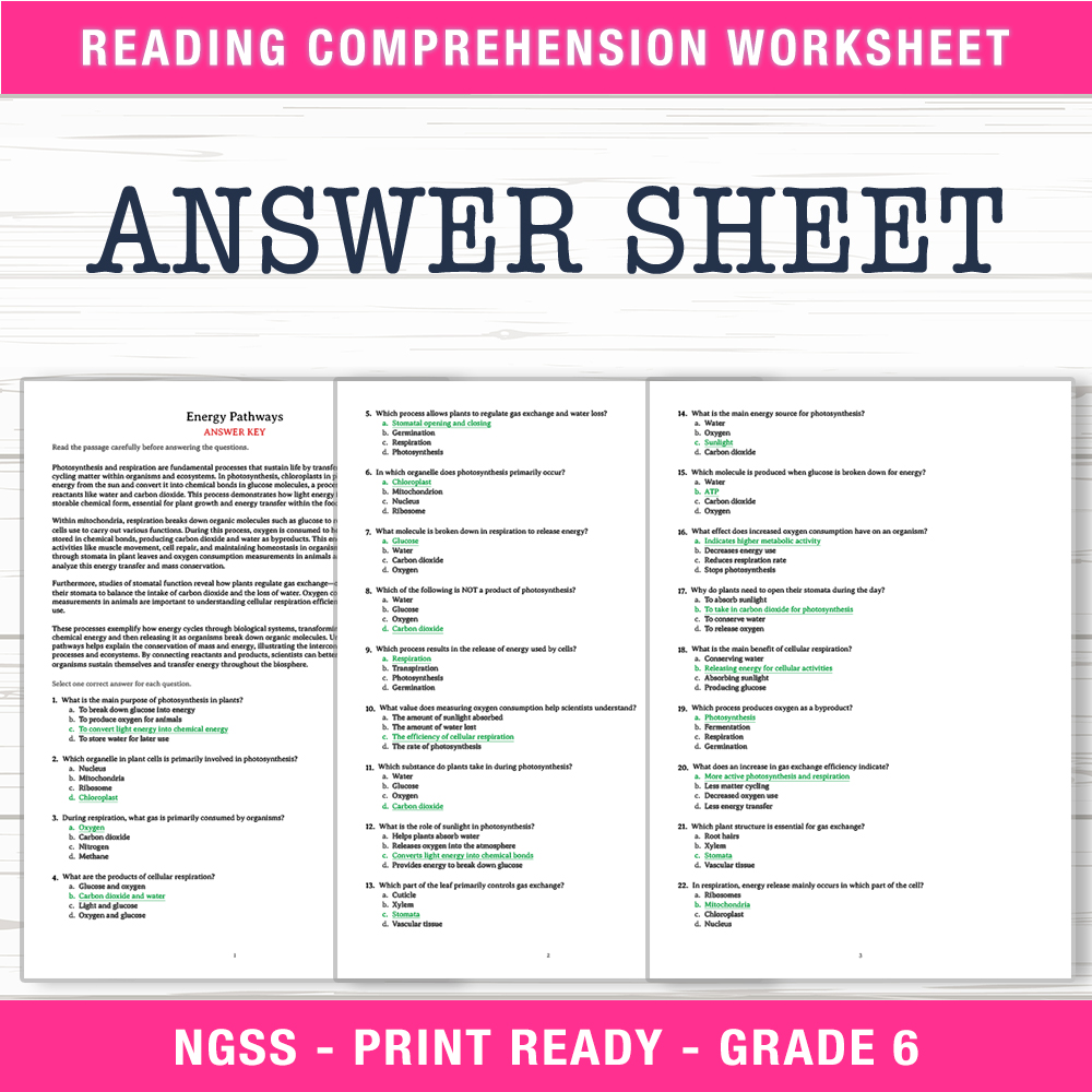 Grade 6 Science worksheet worksheet — 6th Grade Science | Energy Pathways Worksheet (PDF + Answer Key) — page 2