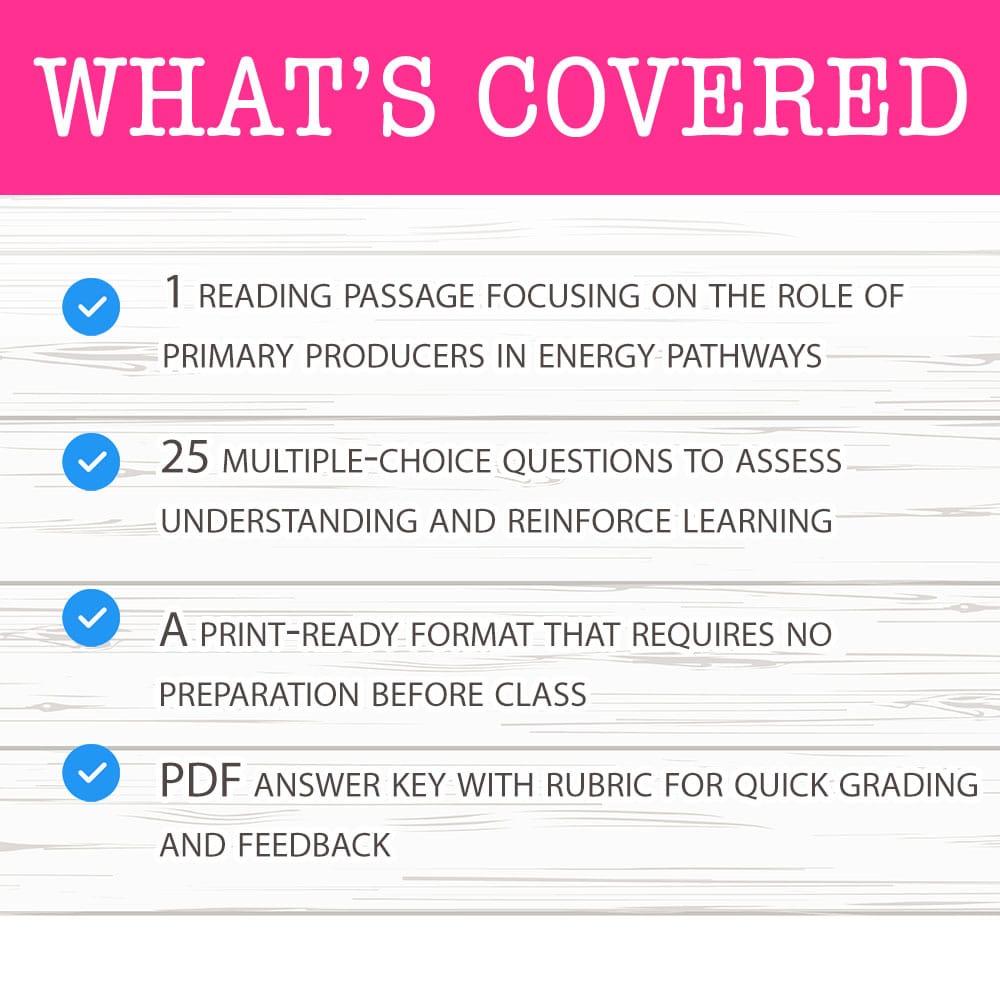 Grade 8 Science worksheet mcq paper worksheet — Grade 8 Science — Producers & Energy Worksheet MCQ Paper for Mastery — page 2