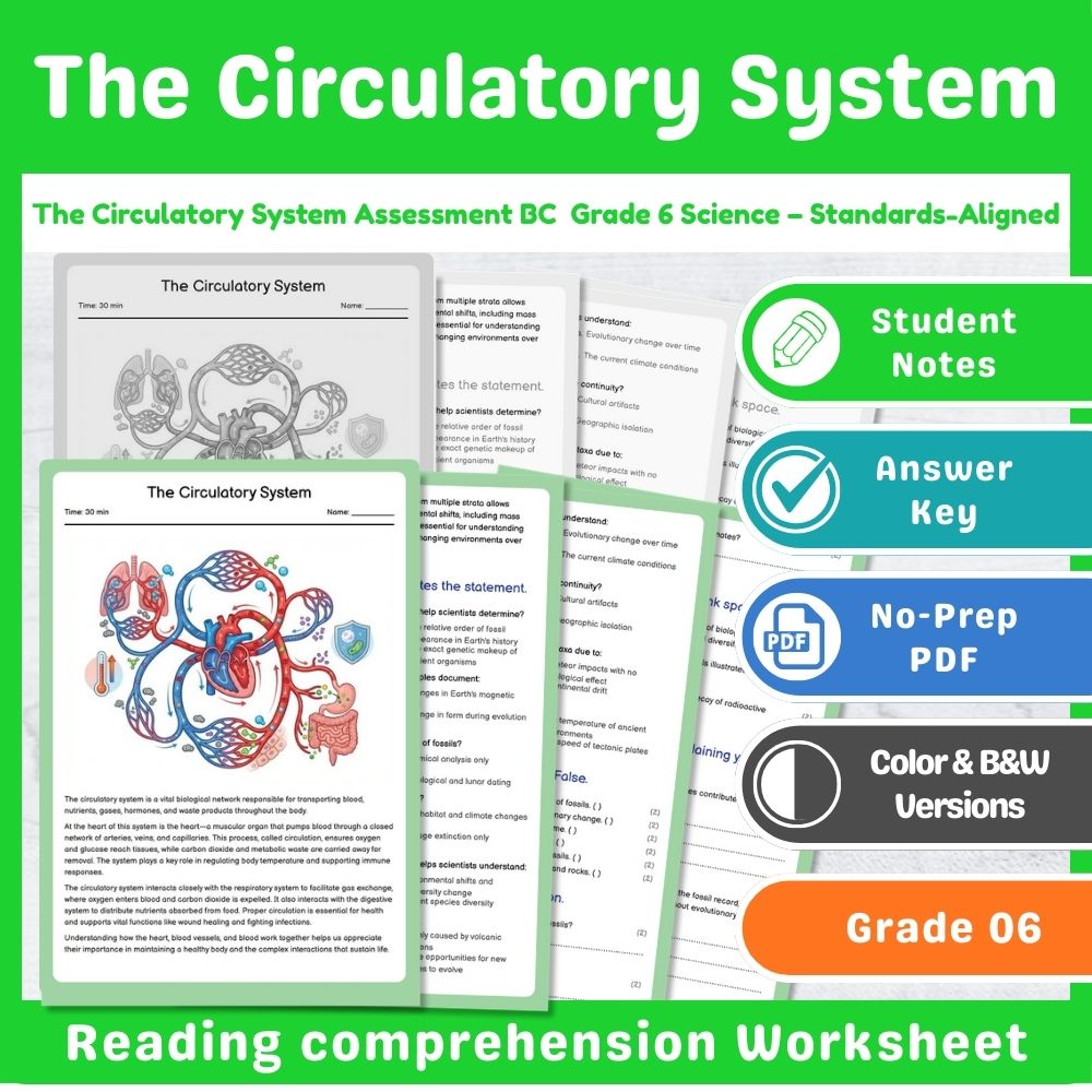 Grade 6 Science | Cell Structures & Systems Assessment – Standards-Aligned — included worksheet 4
