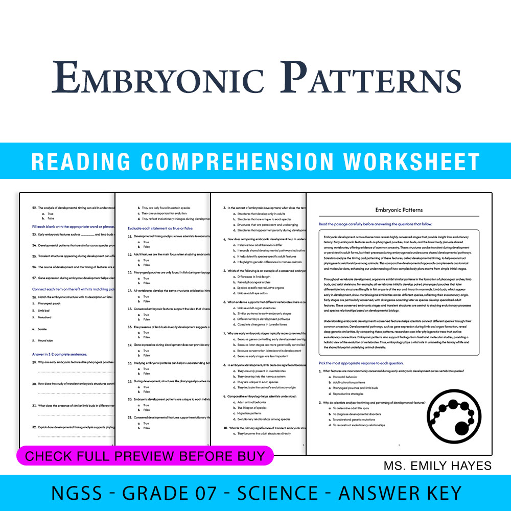 Grade 7 Science worksheet worksheet — 7th Grade Science | Embryonic Patterns Worksheet (PDF + Answer Key) — page 1