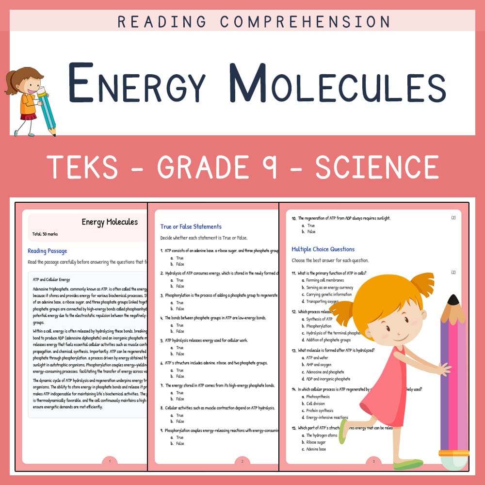 Grade 9 Science worksheet elena worksheet — Grade 9 Science | Energy Molecules Worksheet | TEKS-Aligned — page 1