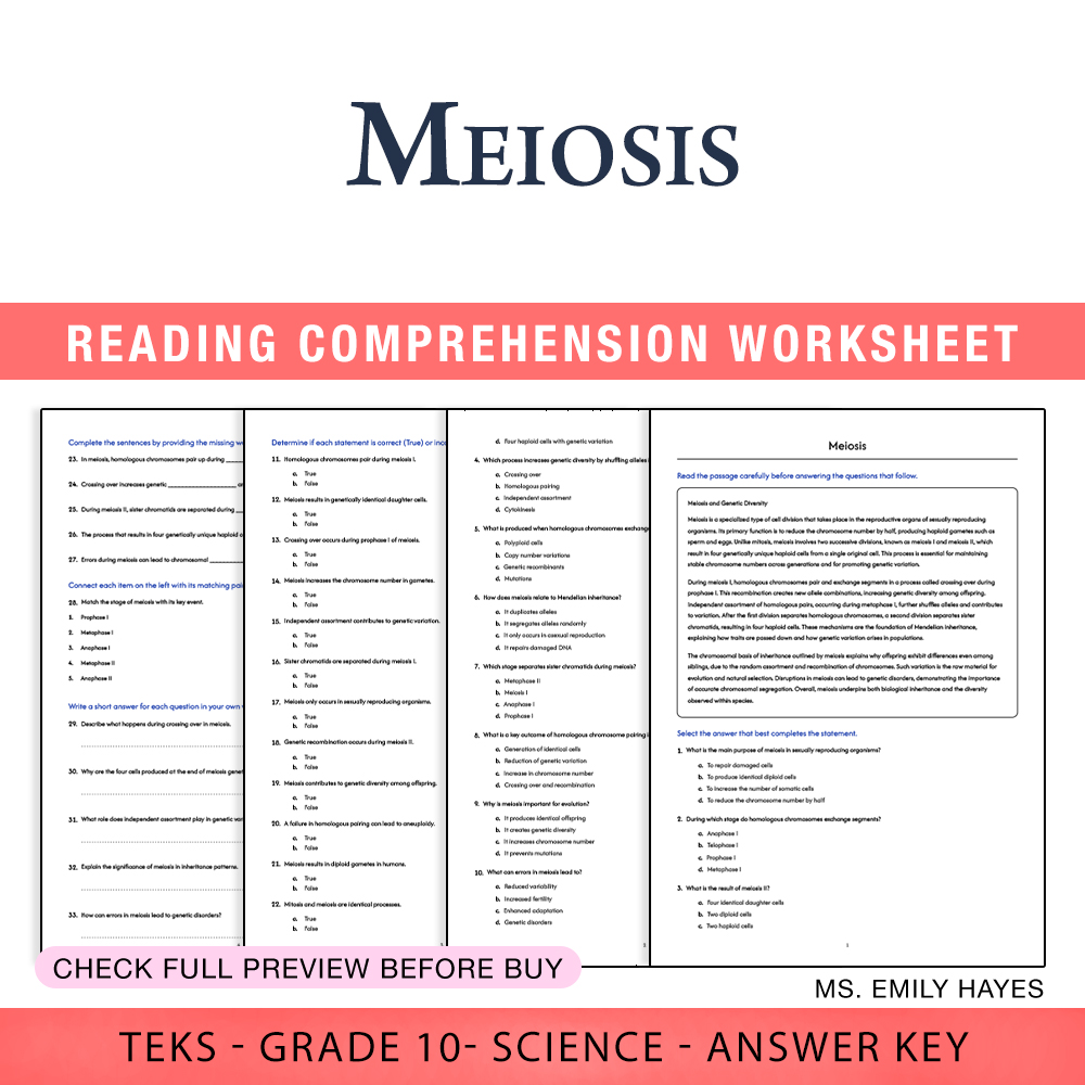 Grade 10 Science worksheet worksheet — 10th Grade Science | Meiosis Worksheet (PDF+ Answer Key) — page 1