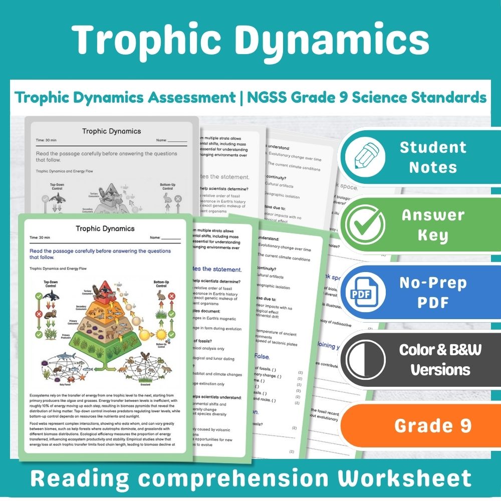 Grade 9 Science assessment worksheet — Trophic Dynamics Assessment | NGSS Grade 9 Science Standards