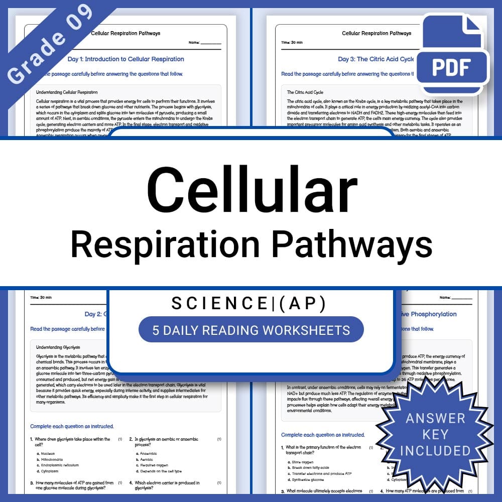 Grade 9 Science Motion and Force Full Year Bundle | STEM Curriculum — included worksheet 23