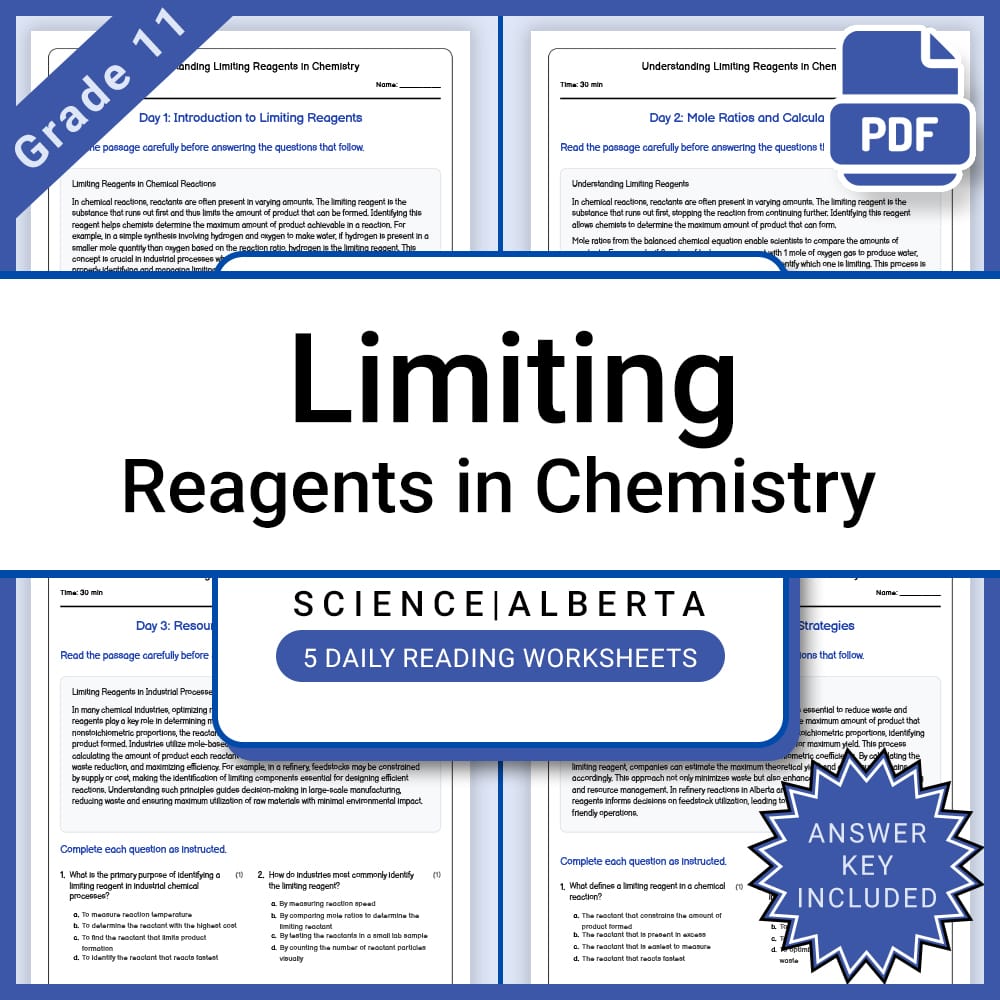 Grade 11 Science Lesson Bundle | Core Concepts & Theories in Chemistry & Physics — included worksheet 5
