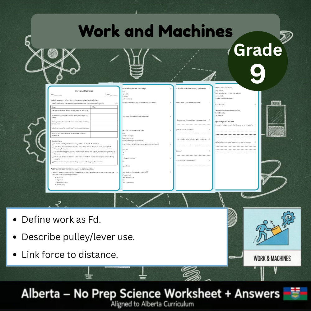 Grade 9 Science Worksheet Bundle | Genetics, Chemistry & Physics Concepts — included worksheet 29
