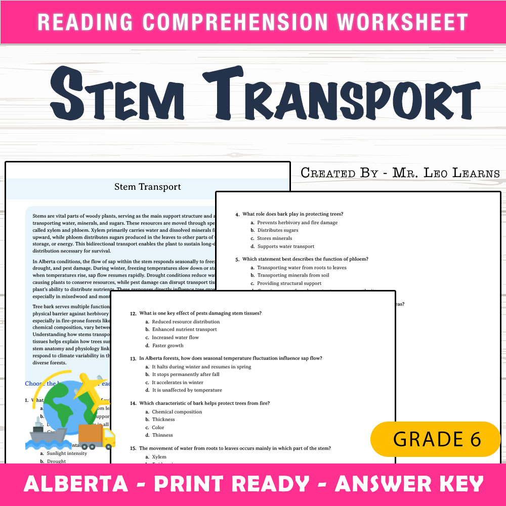 Grade 6 Science worksheet mcq paper worksheet — Grade 6 Science — Stem Transport Worksheet for Mastery — page 1