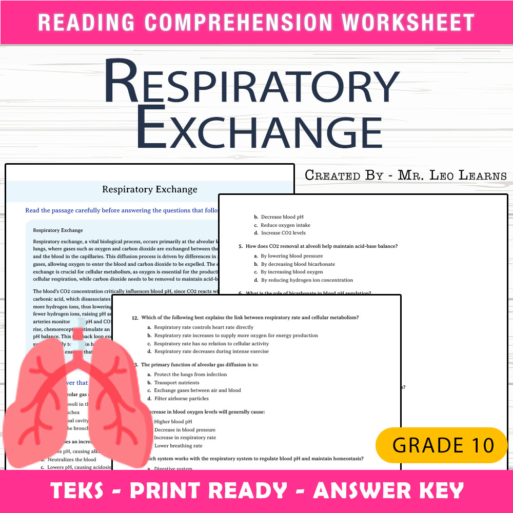 Grade 10 Science worksheet worksheet — Grade 10 Science – Respiratory Exchange Worksheet for Mastery — page 1