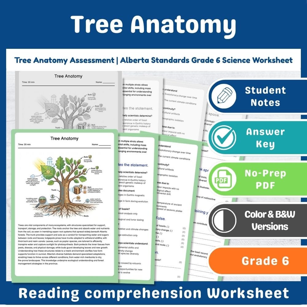Grade 6 Science assessment worksheet — Tree Anatomy Assessment | Alberta Standards-Aligned Grade 6 Science Worksheet — page 1