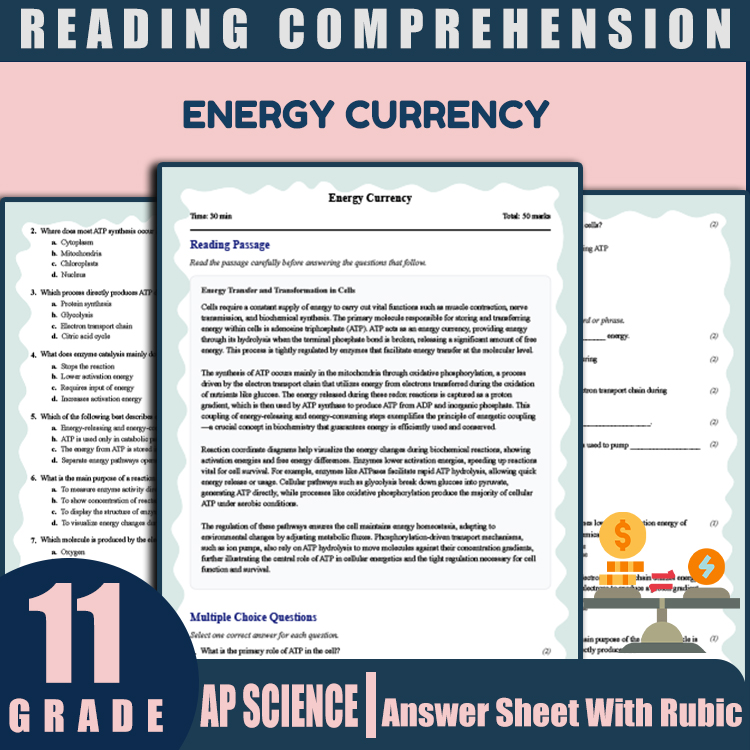 Grade 11 Science reading worksheets worksheet — 11th Grade Science | Energy Currency Reading Worksheet & Answer Key (PDF)…