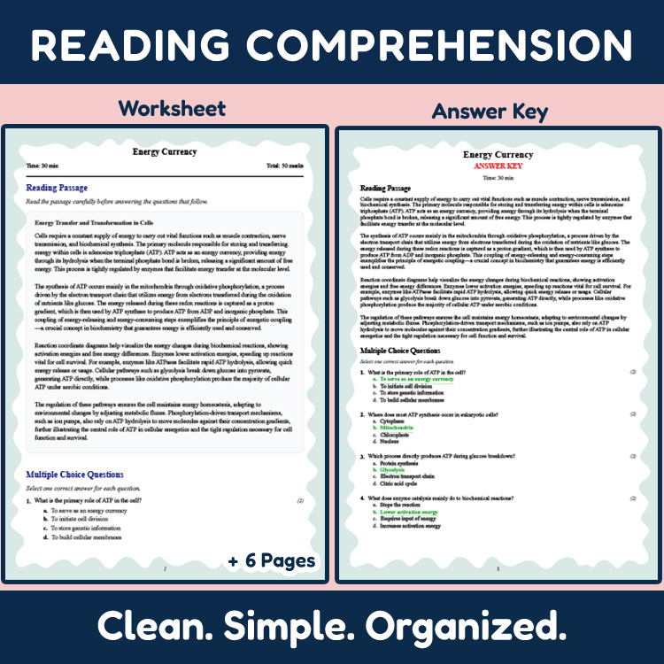 Grade 11 Science reading worksheets worksheet — 11th Grade Science | Energy Currency Reading Worksheet & Answer Key (PDF)…