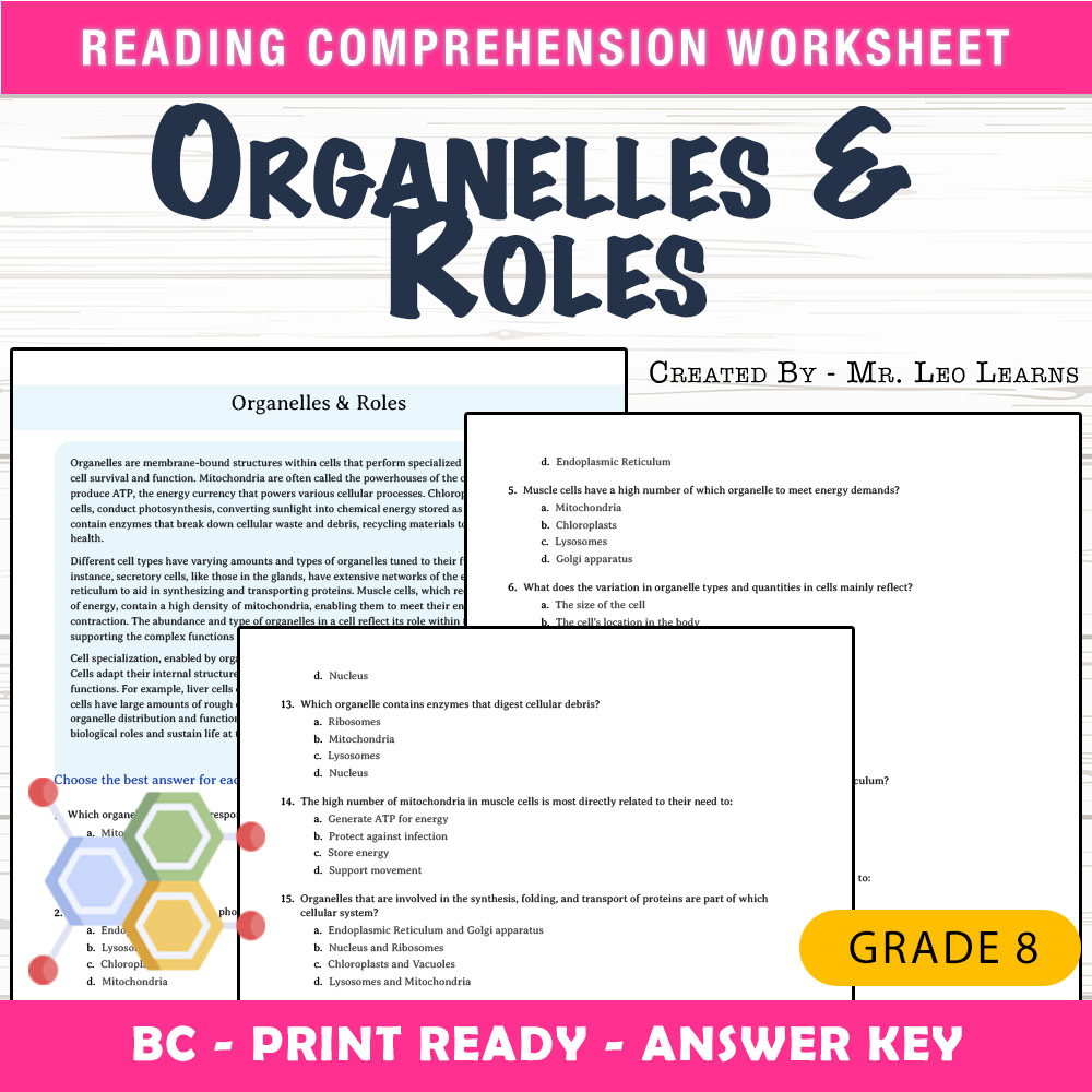 Grade 8 Science worksheet mcq paper worksheet — Grade 8 Science — Organelles & Roles Worksheet MCQ Paper — page 1