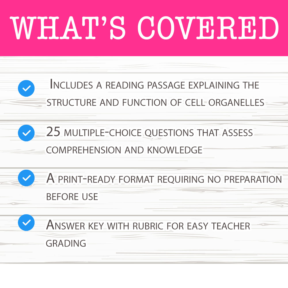 Grade 8 Science worksheet mcq paper worksheet — Grade 8 Science — Organelles & Roles Worksheet MCQ Paper — page 2