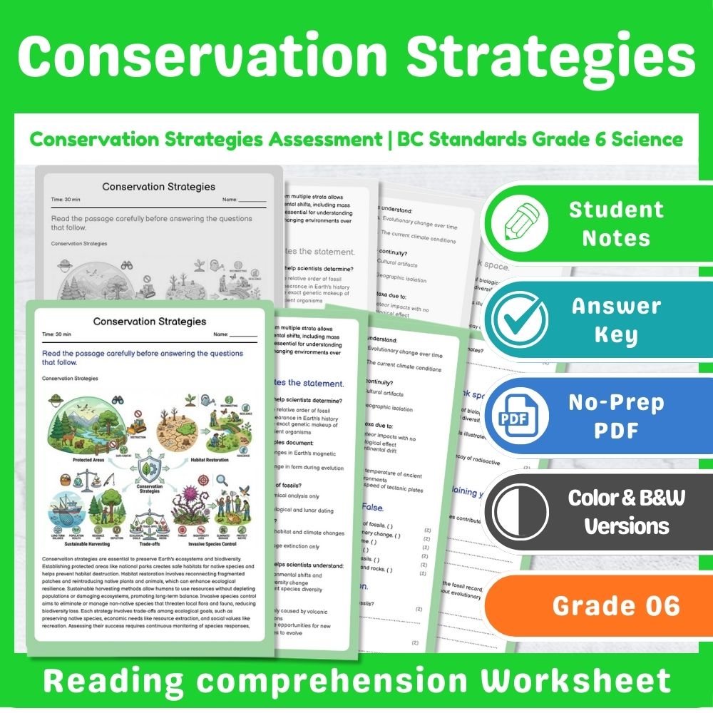 Grade 6 Science – Ecosystems Assessment & Ecology Lesson Bundle | Standards-Aligned — included worksheet 6