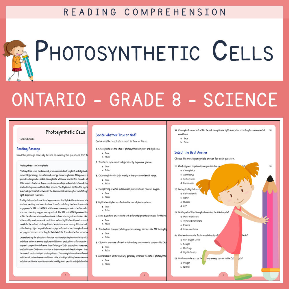 Grade 8 Science worksheet elena worksheet — Grade 8 Science Assessment | Photosynthetic Cells Worksheet | Ontario — page 1