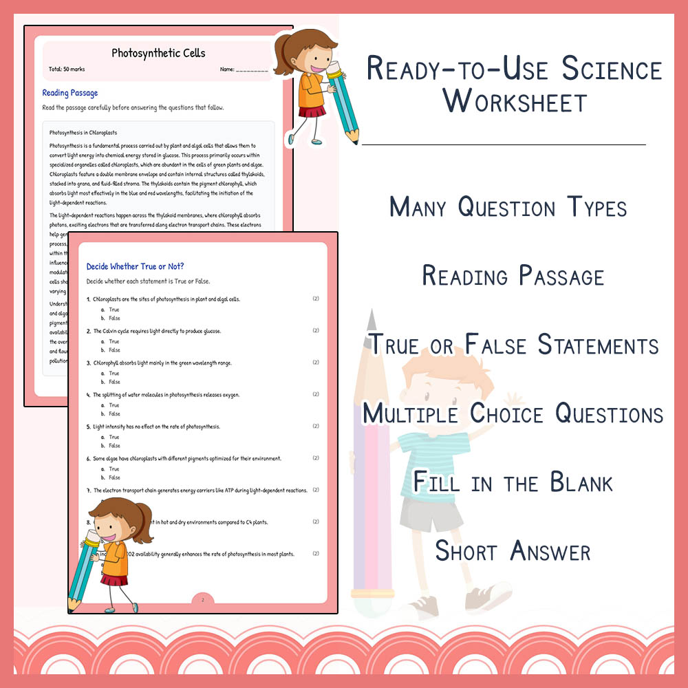 Grade 8 Science worksheet elena worksheet — Grade 8 Science Assessment | Photosynthetic Cells Worksheet | Ontario — page 2