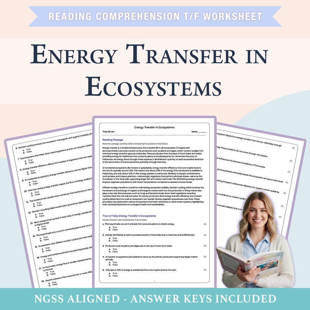 Science reading comprehensions true or false worksheet worksheet — 7th Grade Science | Energy Transfer in Ecosystems Works…