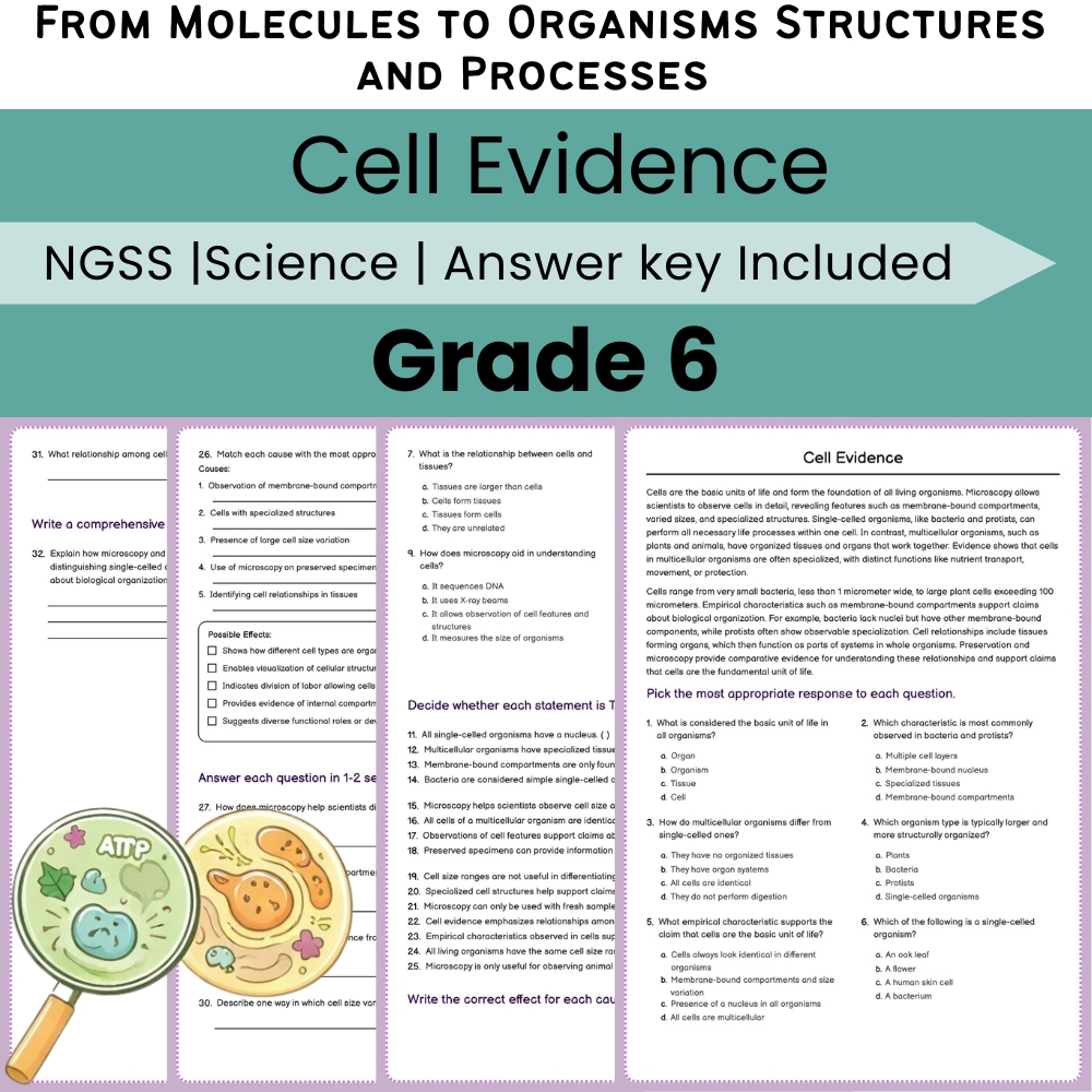 Grade 6 Science NGSS Worksheet Bundle | Comprehensive STEM Practice Pack — included worksheet 23