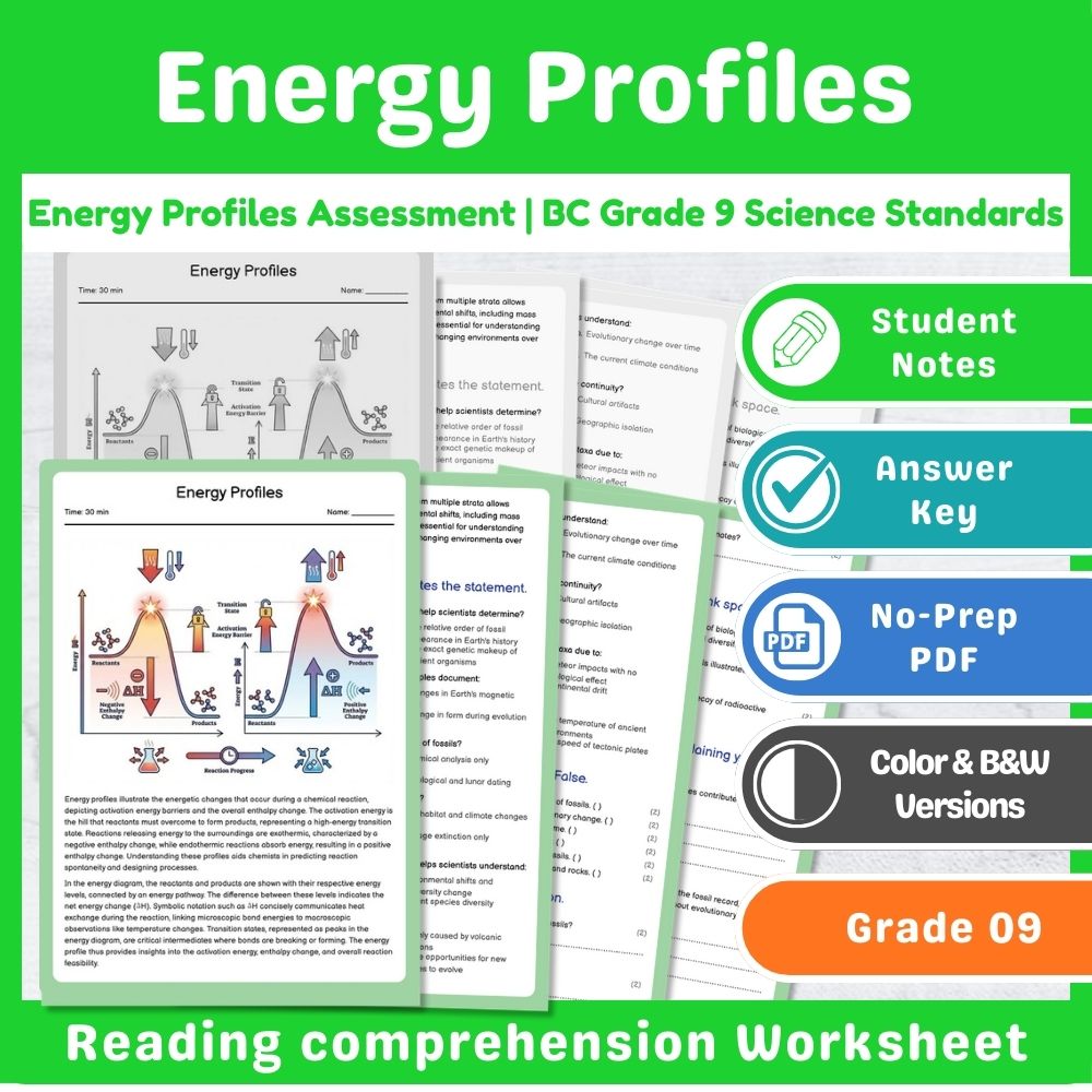 Grade 9 Science Mini Bundle | Chemical Reactions Assessment – BC Standards — included worksheet 10