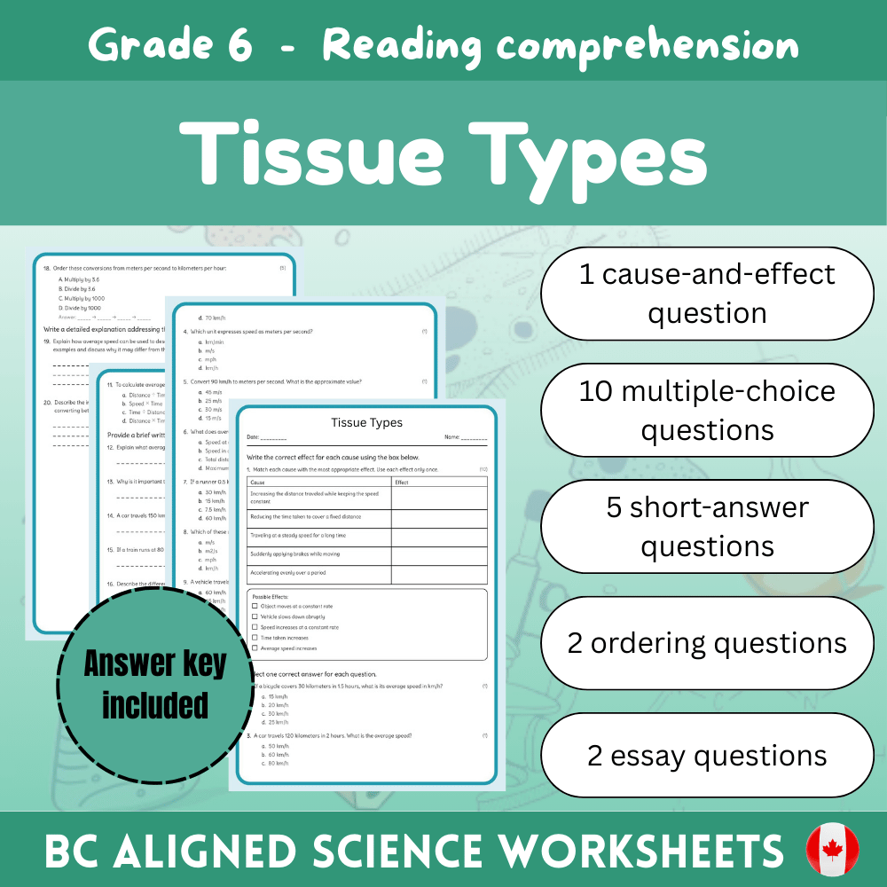 Grade 6 Science science 1 worksheet — 6th Grade Science | Tissue Types Worksheet + Answer Key (BC Standard)