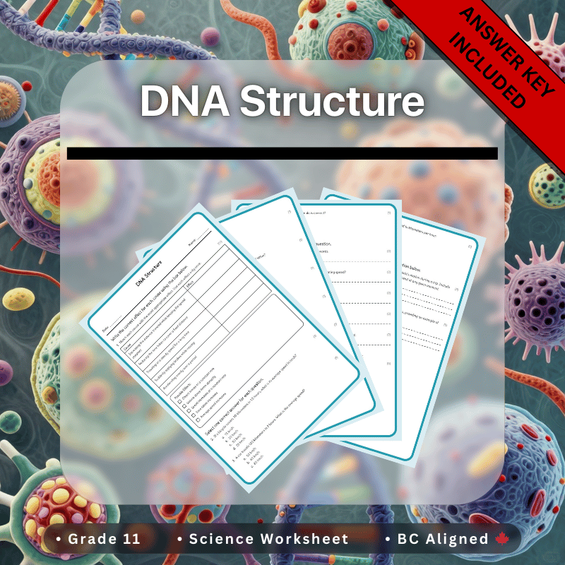 Grade 11 Science | DNA Structure Worksheet + Answer Key – BC Standards (PDF)