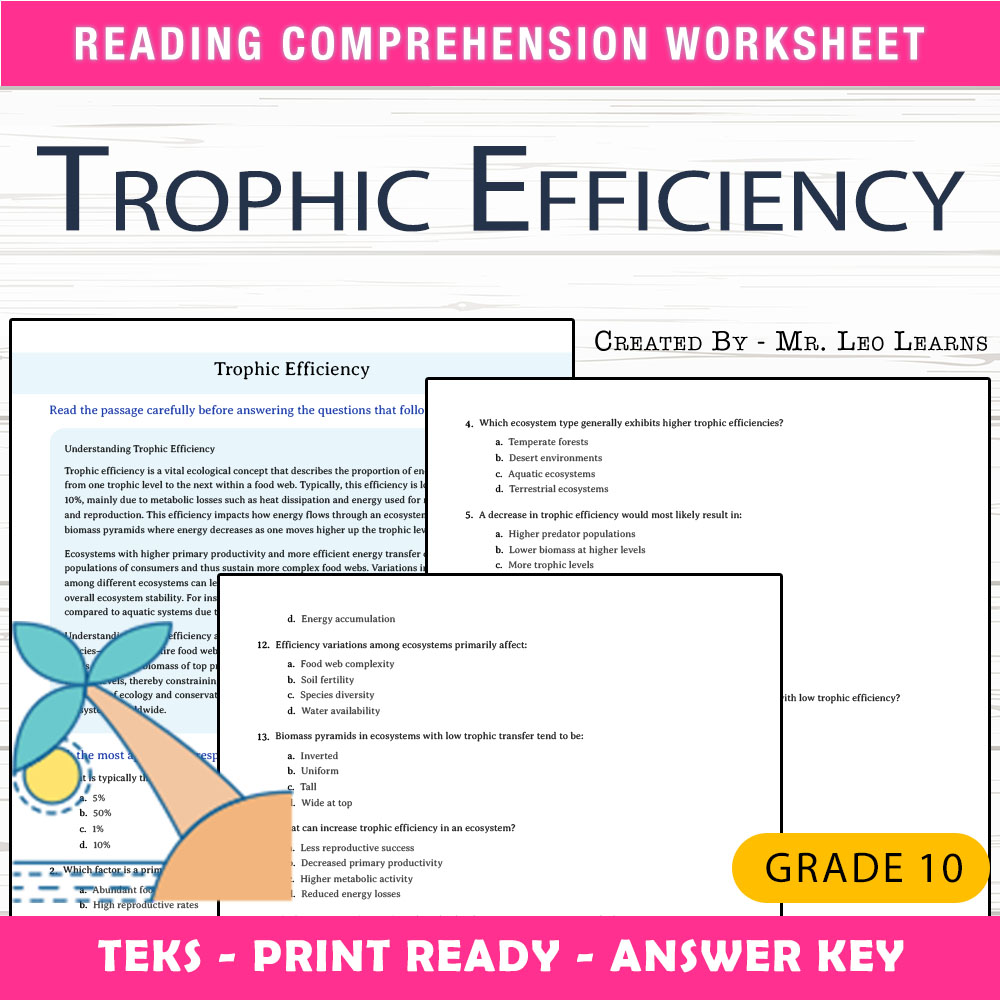 Grade 10 Science worksheet worksheet — 10th Grade Science – Trophic Efficiency Worksheet for Mastery — page 1