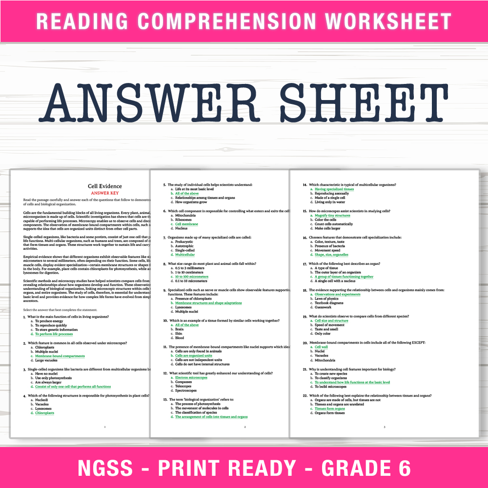 Grade 6 Science worksheet worksheet — 6th Grade Science | Cell Evidence Worksheet (PDF + Answer Key) — page 2