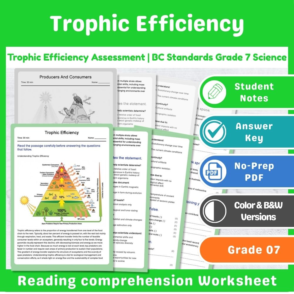 Trophic Efficiency Assessment | BC Standards Grade 7 Science