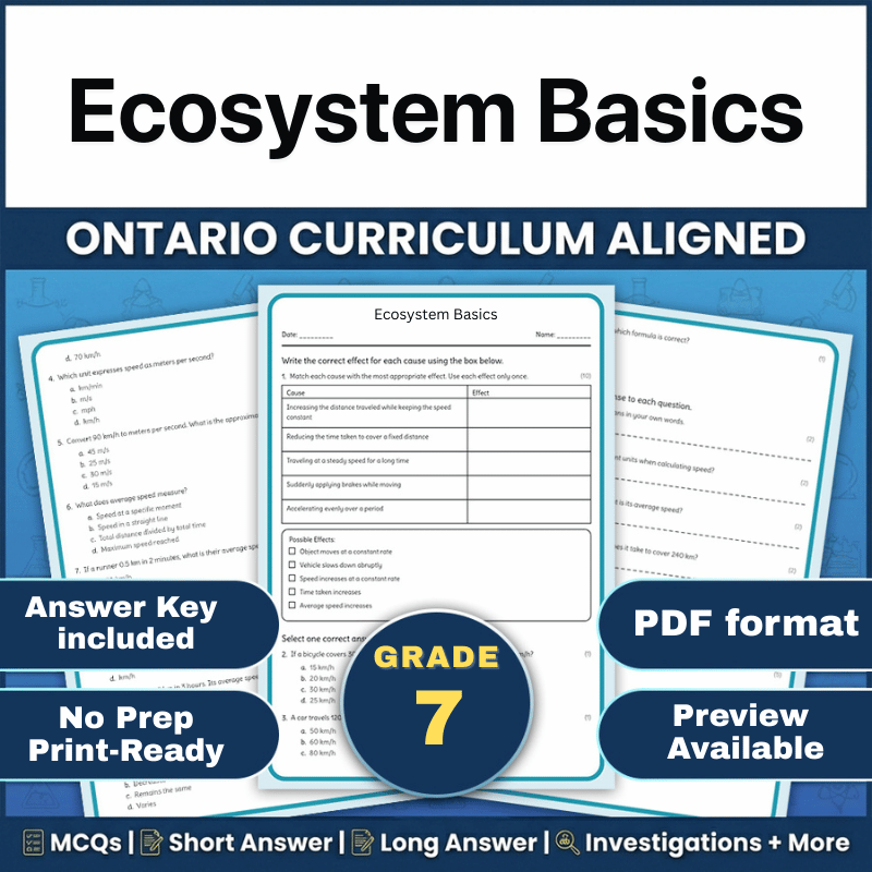 Grade 7 Science | Ecosystem Basics Worksheet (Ontario) (PDF)