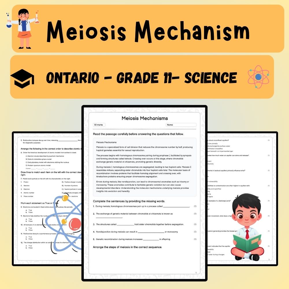 Grade 11 Science worksheet worksheet — Grade 11 Science – Meiosis Mechanisms Worksheet (Answer Key) | Ontario Standards —…
