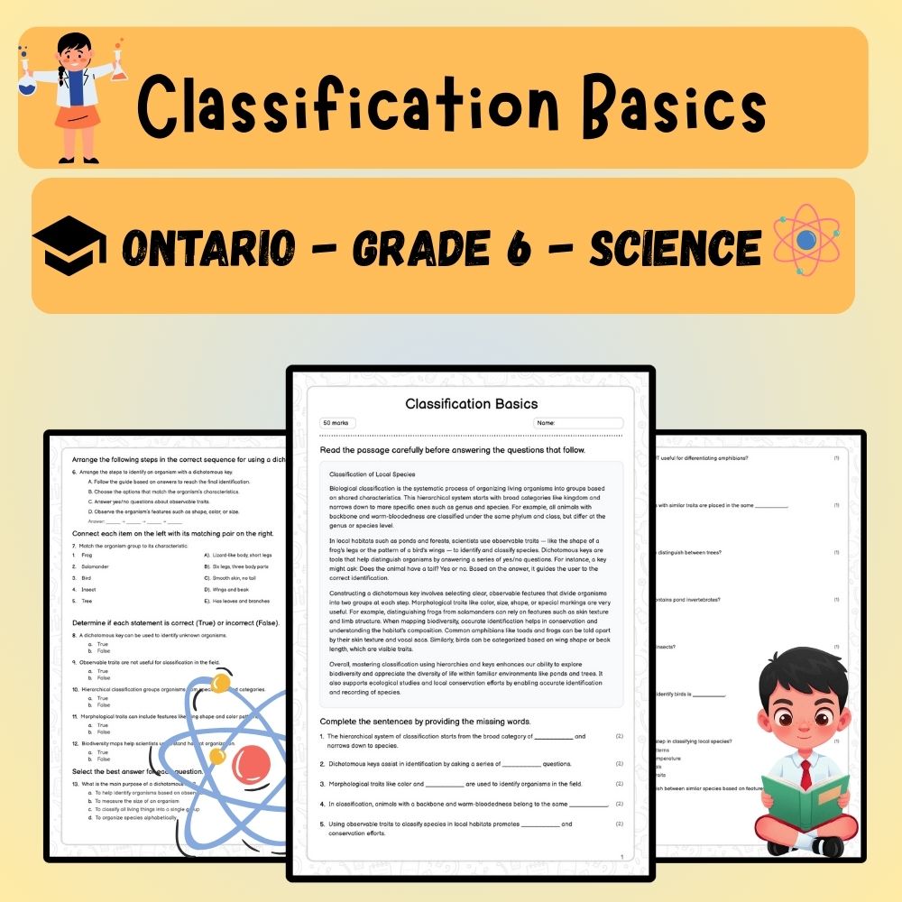 Grade 6 Science worksheet worksheet — 6th Grade Science | Classification Basics Worksheet (PDF) — page 1