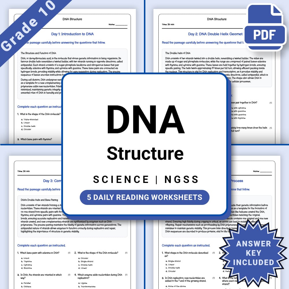 Grade 10 Science daily reading worksheet worksheet — Grade 10 Science – DNA Structure Daily Reading Worksheet (PDF +Answer…