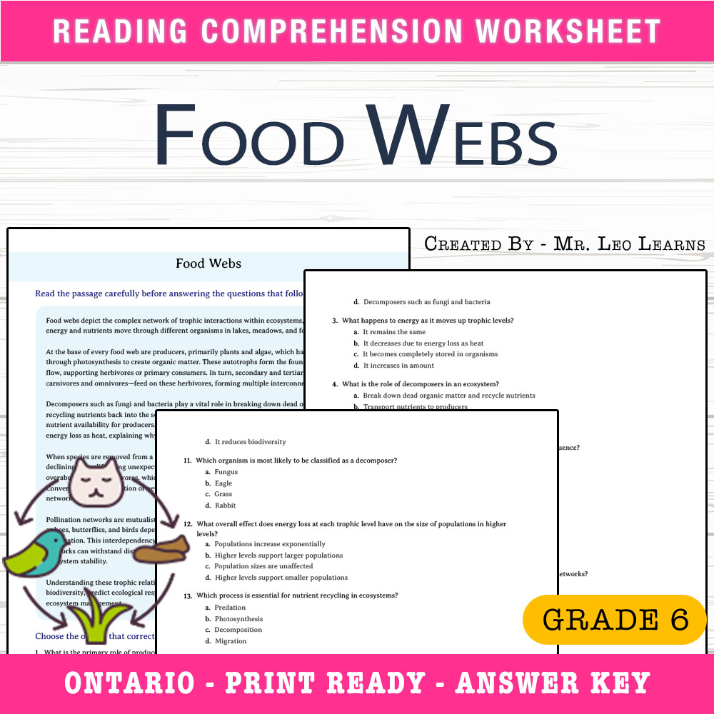 Grade 6 Science worksheet worksheet — Grade 6 Science — Food Webs Worksheet for Mastering Ecosystem Interactions — page 1