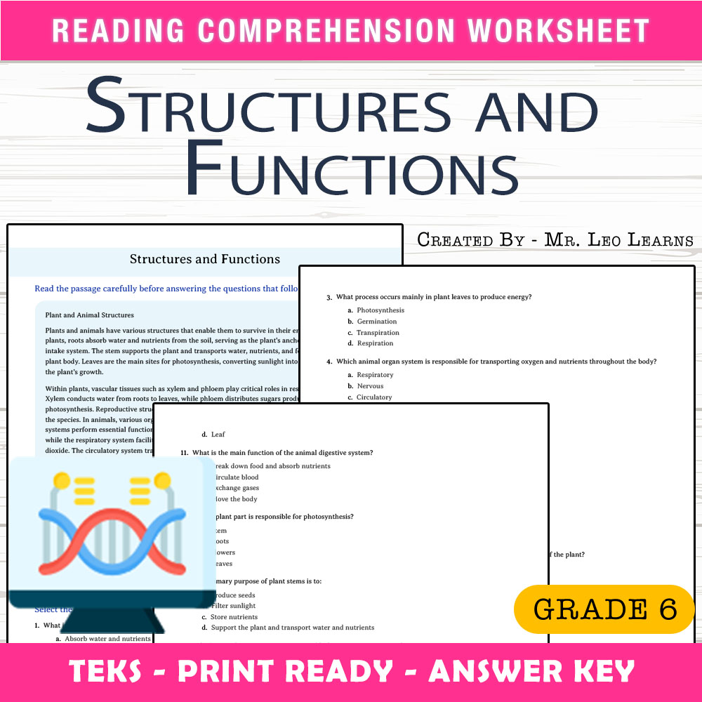 Grade 6 Science worksheet worksheet — Grade 6 Science — Structures and Functions Worksheet for Mastery — page 1