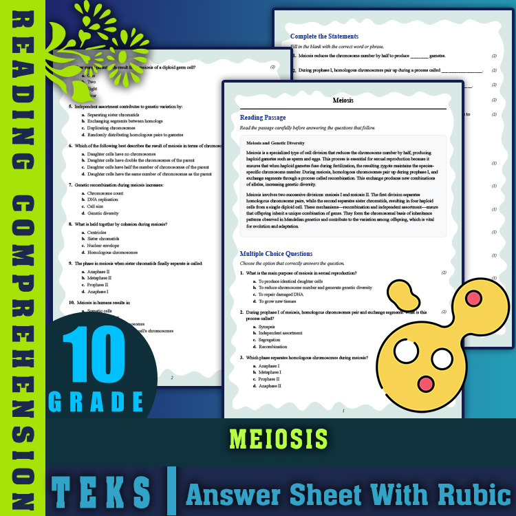 Grade 10 Science reading worksheets worksheet — 10th Grade Science | Meiosis Reading Worksheet with Answer Key (PDF) — page 1