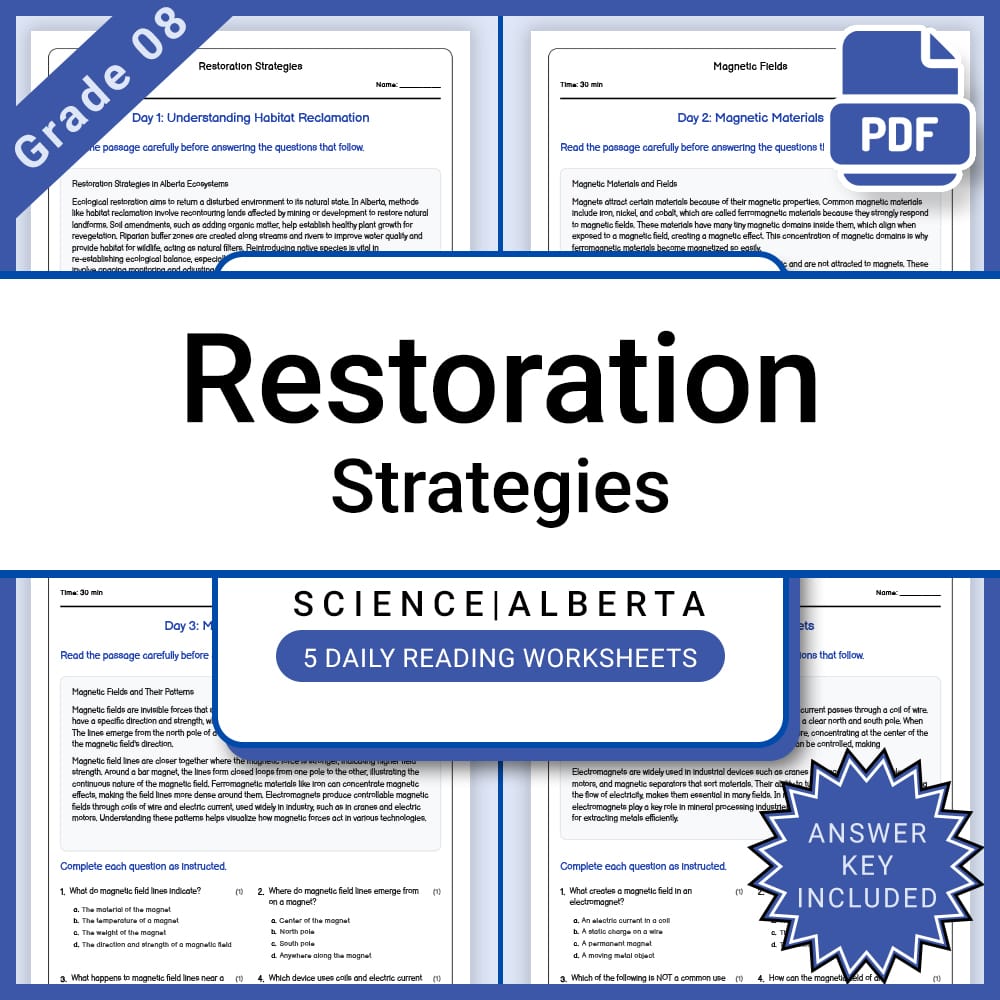 Grade 8 Science Lesson Bundle | Ecosystems, Energy, and Environmental Impact — included worksheet 7