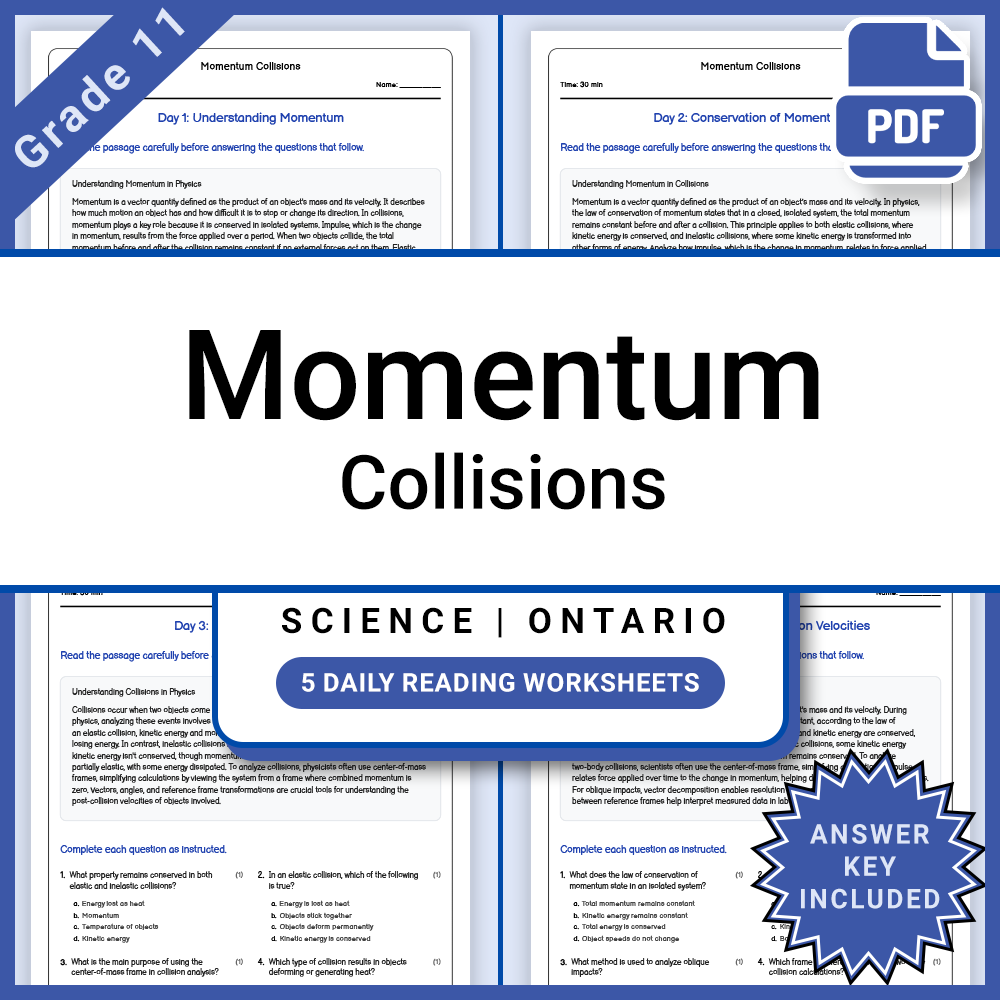 Grade 11 Science daily reading worksheet — Grade 11 Science – Momentum Collisions Daily Reading Worksheet + Answer Key