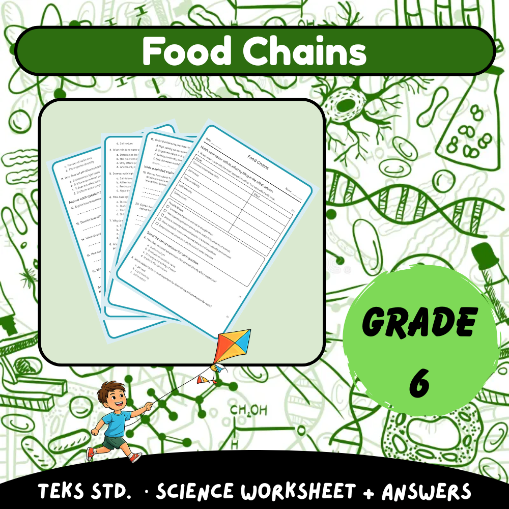 6th Grade Science | Food Chains Worksheet (Worksheet + Answer Key) – TEKS Aligned