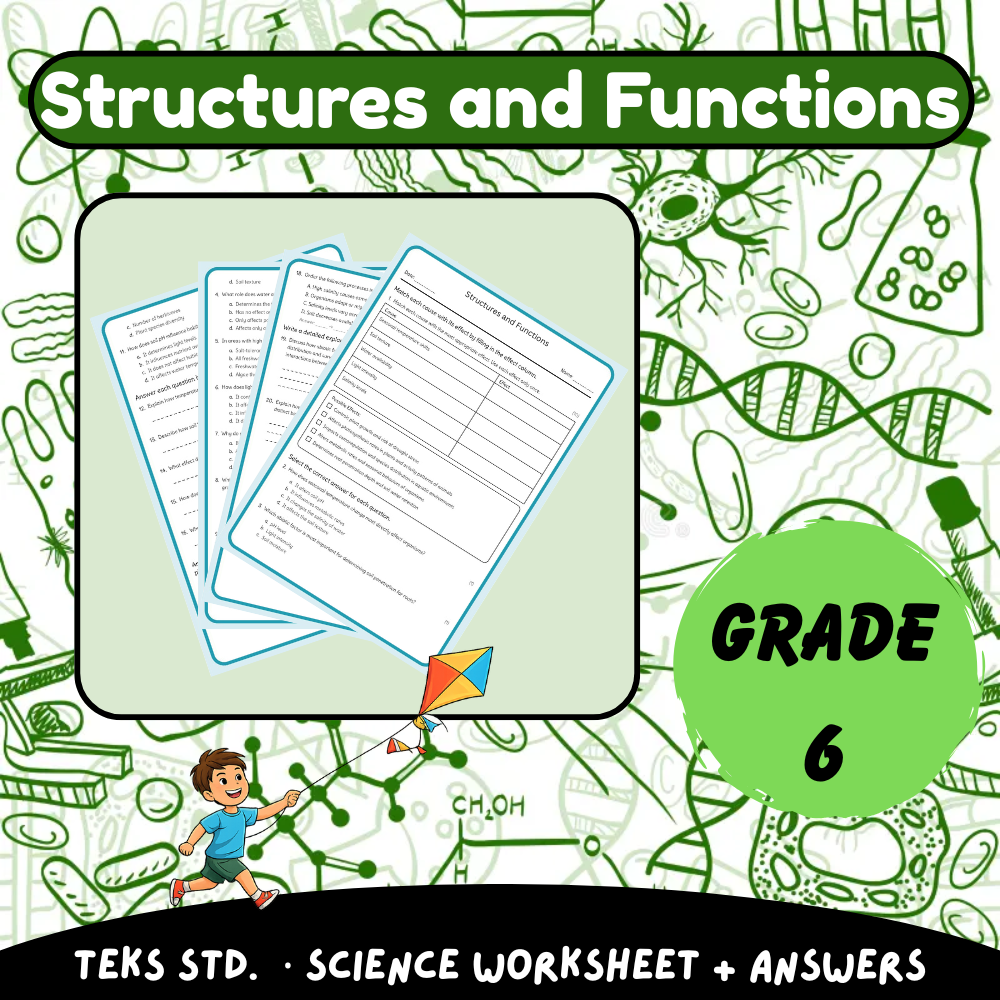 6th Grade Science | Structures and Functions Worksheet (PDF) – TEKS Aligned